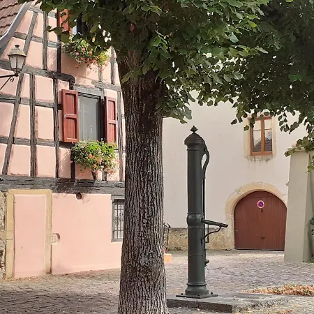 Feriehus Ideal Sejour Alsace ! Proche Colmar Et Sur La Route Des Vins, De La Liberte