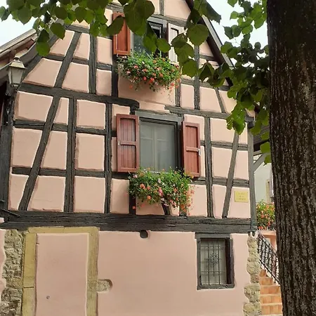 Ideal Sejour Alsace ! Liberte, Proche Colmar